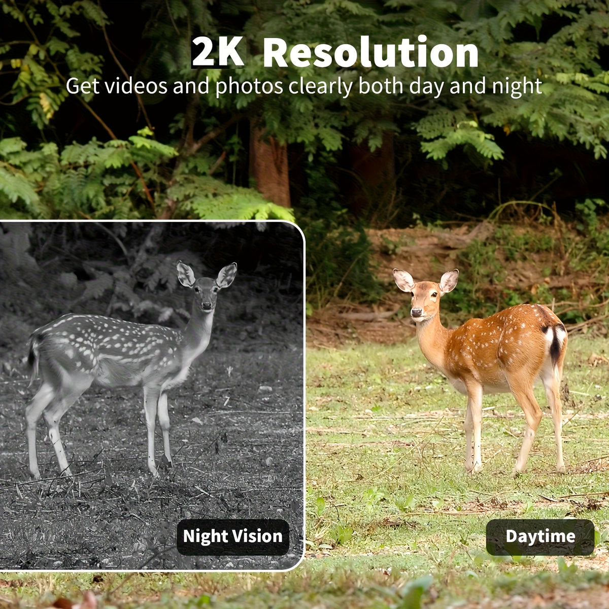 4G Outdoor Hunting Camera Options with Remote Live Viewing and Night Vision, Cellular Security and Trail Camera Bundles for Wildlife Monitoring