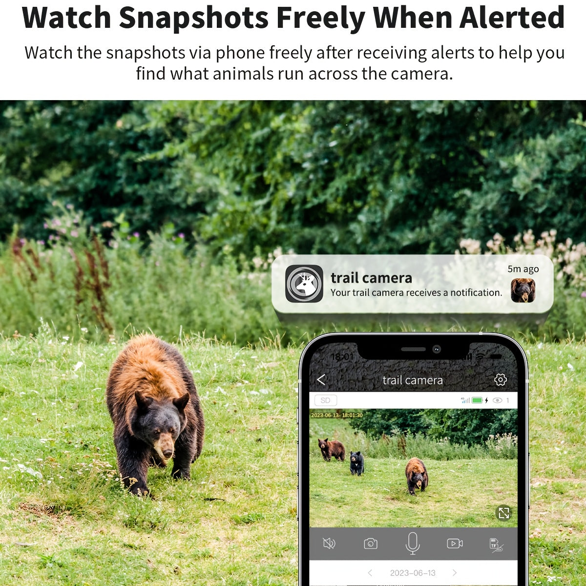 4G Outdoor Hunting Camera Options with Remote Live Viewing and Night Vision, Cellular Security and Trail Camera Bundles for Wildlife Monitoring