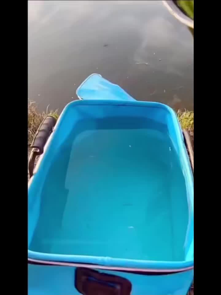 25L Foldable Fishing Bucket in EVA, Live Bait and Fish Container for Outdoor Angling with Blue Translucent, Orange and Blue Options